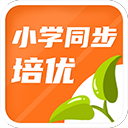 免费?成人??美女女外网