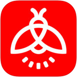 羅馬諾�：若決定和索爾斯克亞分道揚鑣，貝西克塔斯尋帥首選沙欣